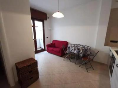 Rosa Virginia 15 - 181