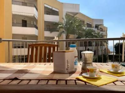 Rosa Virginia 15 - 62