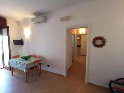 Rosa Virginia 15 - 49