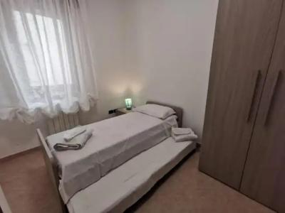 Rosa Virginia 15 - 25