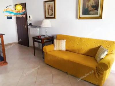 Rosa Virginia 15 - 84