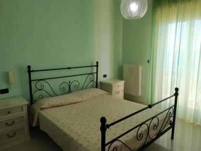 Rosa Virginia 15 - 71