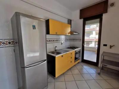 Rosa Virginia 15 - 105