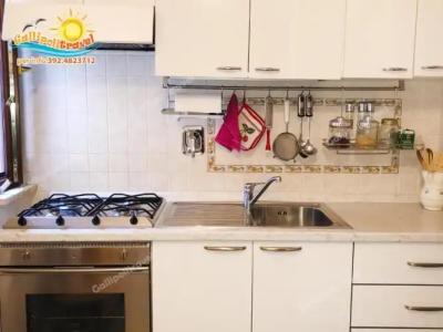 Rosa Virginia 15 - 164