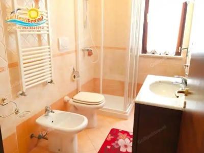 Rosa Virginia 15 - 90