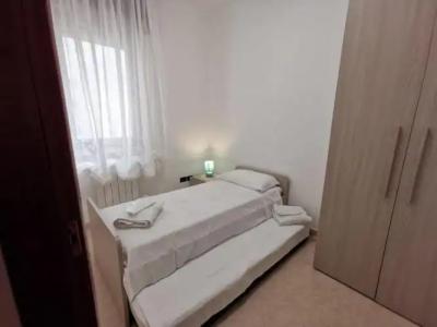 Rosa Virginia 15 - 26