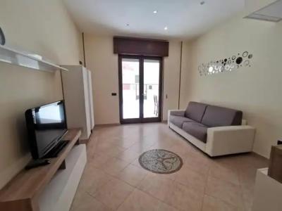 Rosa Virginia 15 - 37