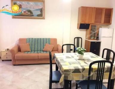 Rosa Virginia 15 - 115