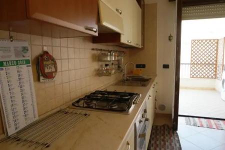 Rosa Virginia 15 - 18