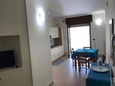 Rosa Virginia 15 - 15