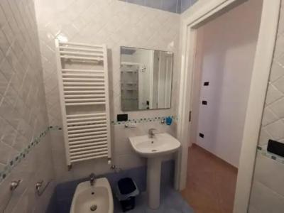 Rosa Virginia 15 - 50