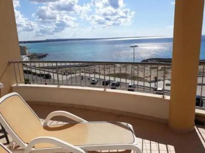 Rosa Virginia 15 - 79