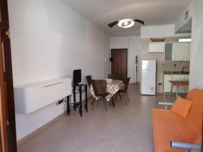 Rosa Virginia 15 - 152