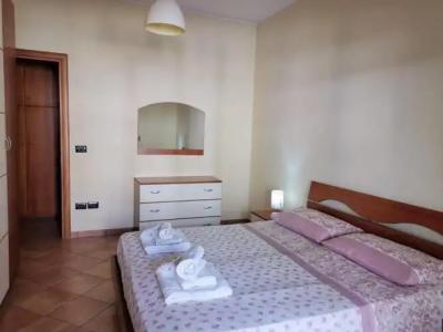 Rosa Virginia 15 - 3