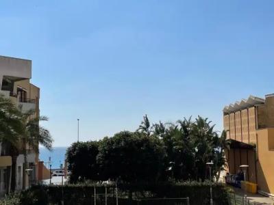 Rosa Virginia 15 - 72