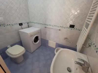 Rosa Virginia 15 - 53