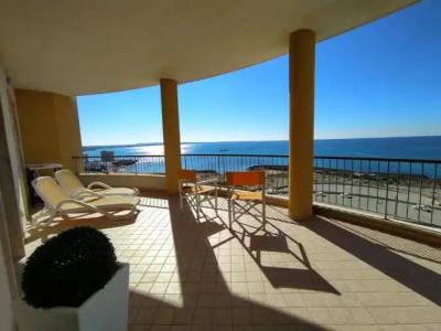 Rosa Virginia 15 - 59