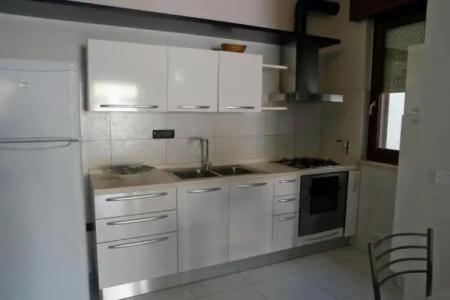 Rosa Virginia 15 - 129