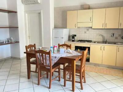 Rosa Virginia 15 - 67