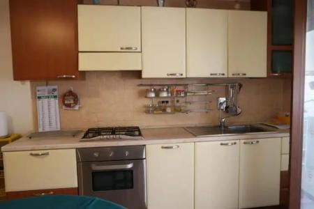 Rosa Virginia 15 - 97