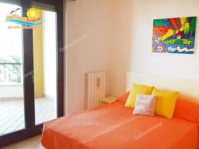 Rosa Virginia 15 - 22