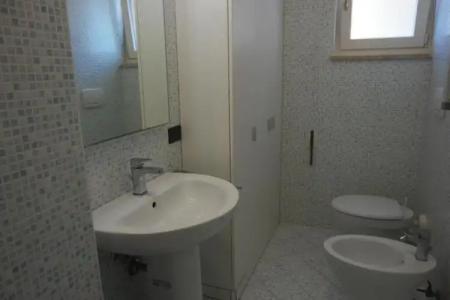 Rosa Virginia 15 - 9