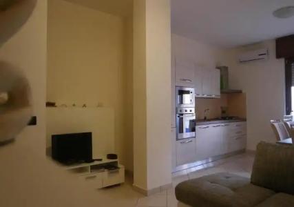 Rosa Virginia 15 - 144