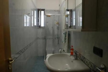 Rosa Virginia 15 - 93