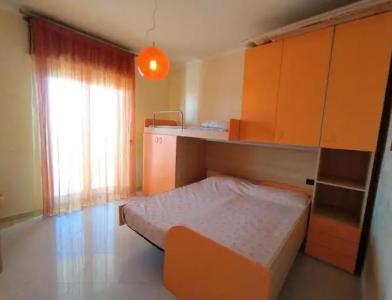 Rosa Virginia 15 - 66