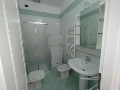 Rosa Virginia 15 - 68