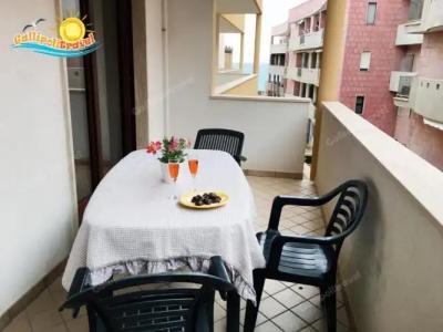 Rosa Virginia 15 - 118