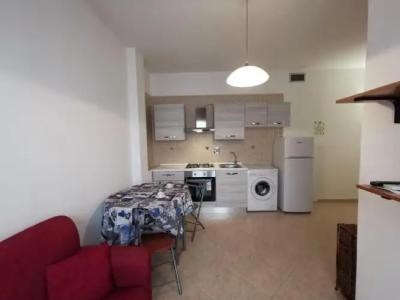 Rosa Virginia 15 - 178