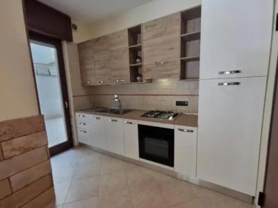 Rosa Virginia 15 - 39