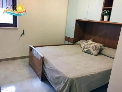 Rosa Virginia 15 - 123