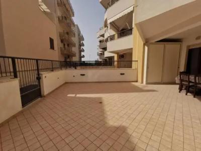 Rosa Virginia 15 - 33