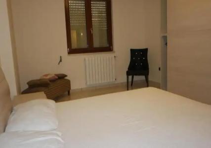 Rosa Virginia 15 - 148