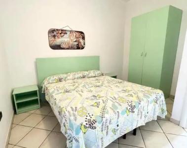 Rosa Virginia 15 - 65