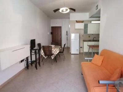 Rosa Virginia 15 - 160