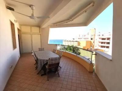 Rosa Virginia 15 - 46