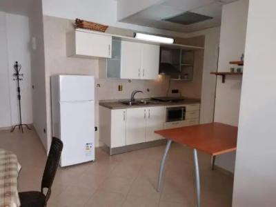 Rosa Virginia 15 - 159