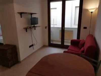 Rosa Virginia 15 - 183