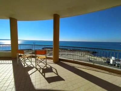 Rosa Virginia 15 - 81