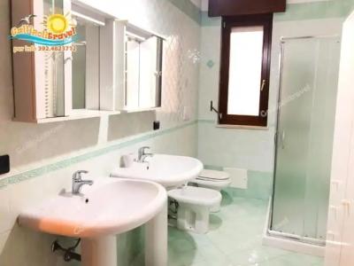 Rosa Virginia 15 - 135