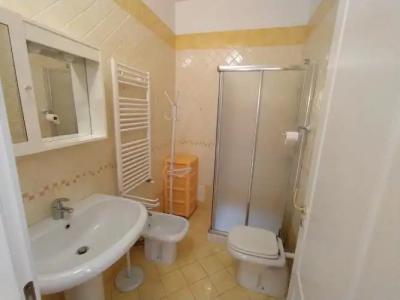 Rosa Virginia 15 - 61