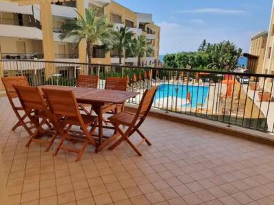 Rosa Virginia 15 - 75