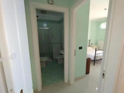 Rosa Virginia 15 - 7