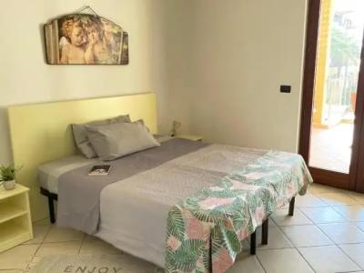 Rosa Virginia 15 - 63