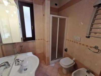 Rosa Virginia 15 - 43