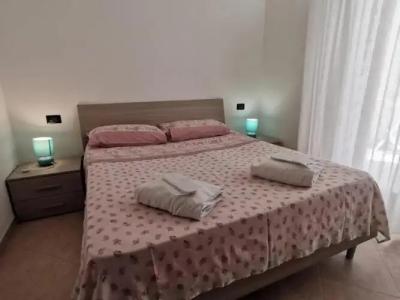 Rosa Virginia 15 - 29