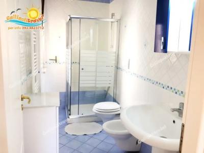 Rosa Virginia 15 - 20